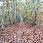 Normand, A La Campagne, Au Calme Selles (Eure)
