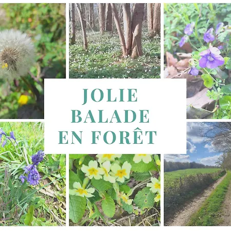 Holiday home Normand, A La Campagne, Au Calme Selles (Eure)