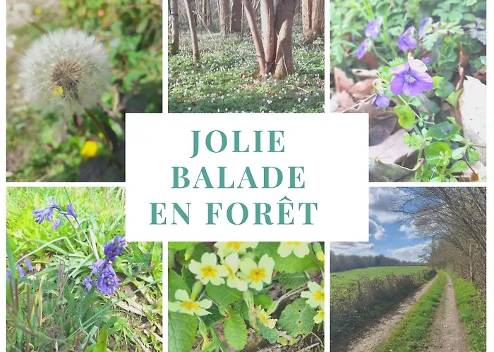 Holiday home Normand, A La Campagne, Au Calme Selles (Eure)