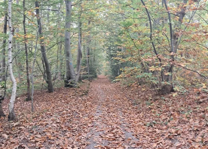 Normand, A La Campagne, Au Calme Selles (Eure)