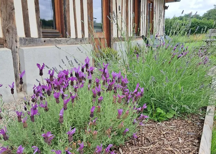 Normand, A La Campagne, Au Calme