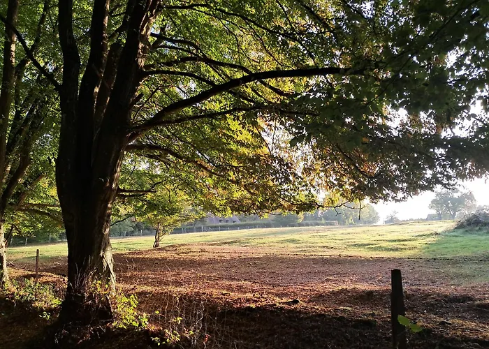 Normand, A La Campagne, Au Calme Holiday home Selles (Eure)